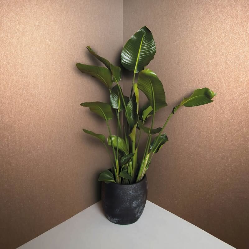 Vliestapete mit glänzendem Uni-Look orange Metalloptik (KG-171526)