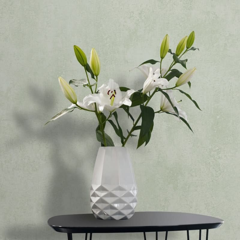 Vliestapete in Grün Betonoptik Used-Look Uni für Wohnzimmer Schlafzimmer Küche (KG-171642)