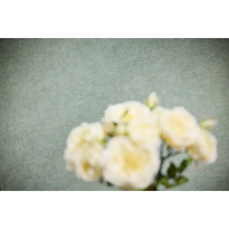 Vliestapete Stoffoptik Salbeigrün strukturierte moderne Uni-Tapete (KG-171760)