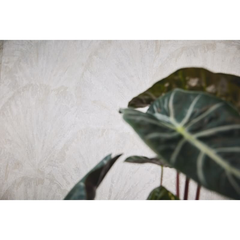 Struktur-Tapete mit 3D Fächermuster Weiß Hellgrau Vliestapete (KG-171768)