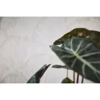 Struktur-Tapete mit 3D F&auml;chermuster Wei&szlig;...