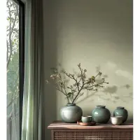 Tapete in Putzoptik Hellgr&uuml;n Einfarbige Uni...