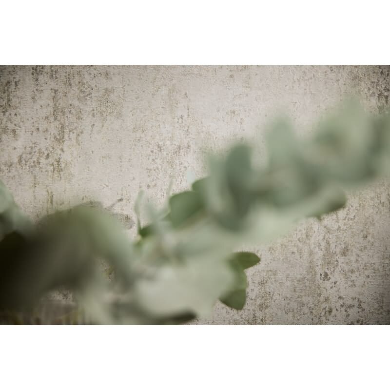 Vintage Tapete in Betonoptik Grau Beige Putzstruktur Vliestapete (KG-171794)
