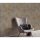 Tapete Greige ELLE Decoration Vliestapete (KG-171849)