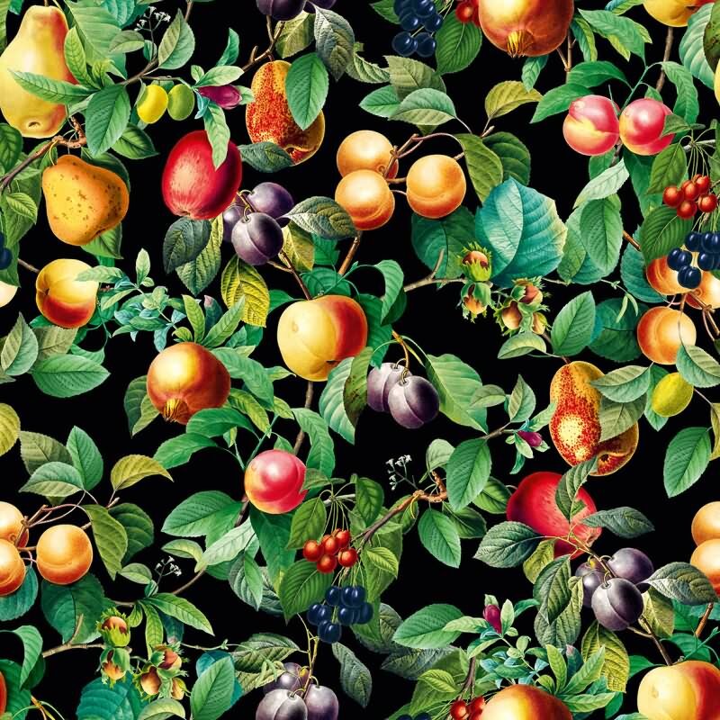 Vliestapete Früchte, Blätter Floral Natur matt in Schwarz für Wohnzimmer, Schlafzimmer (KG-172674)