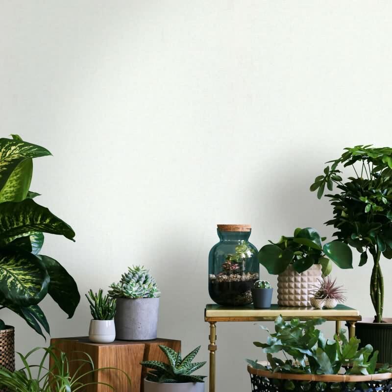 Vliestapete Strukturiert Uni Modern  in Weiß für Wohnzimmer, Schlafzimmer, Küche (KG-172688)