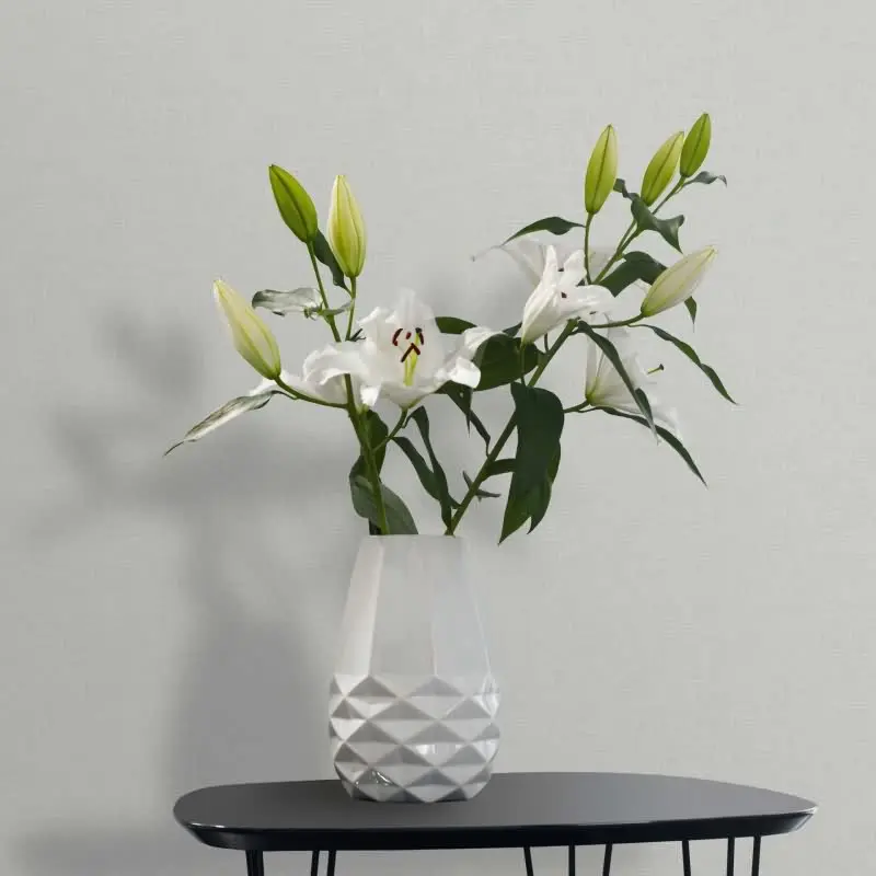 Vliestapete Struktur Uni Modern in Grün für Wohnzimmer, Schlafzimmer, Lounge (KG-172843)