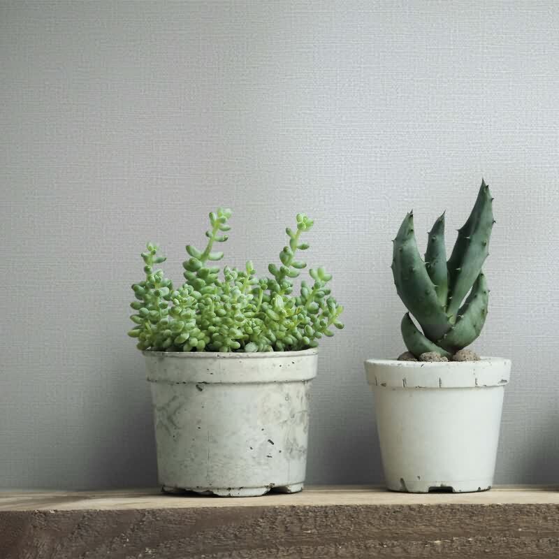 Vliestapete Texturiert Uni Modern in Grau für Wohnzimmer, Schlafzimmer (KG-172911)