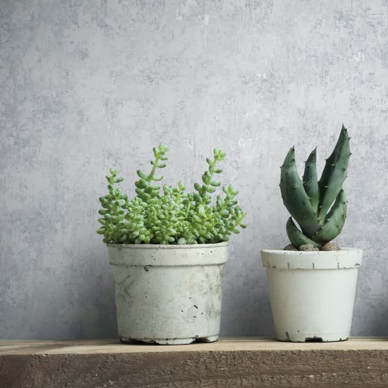 Vliestapete Betonoptik Struktur Modern in Grau für Wohnzimmer, Schlafzimmer (KG-172924)