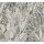 Dschungeltapete Braun Grau Beige - Exotische Muster Tapete floral - Vliestapete strukturiert (KG-172964)