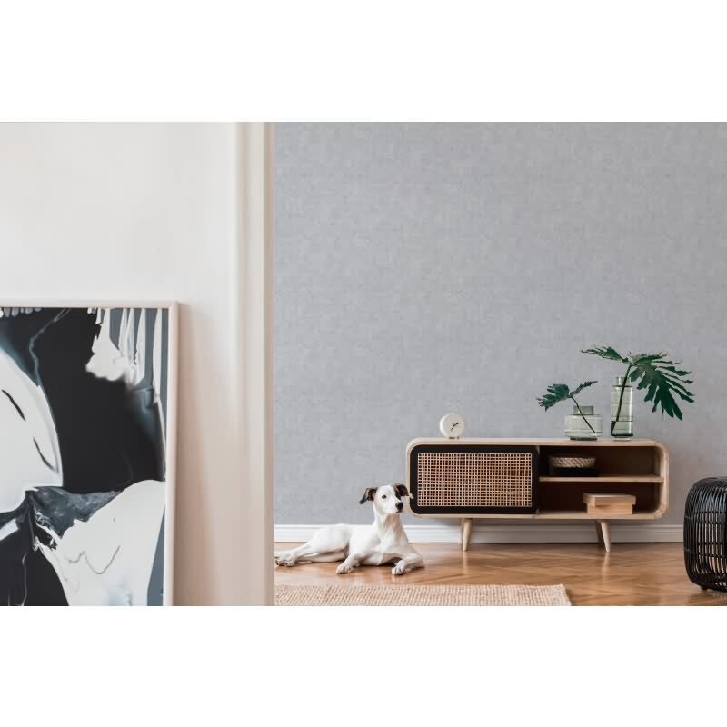 Tapete Lichtgrau Betonoptik Industrial - Geometrisches Muster dezent - Vlies Tapete modern (KG-172983)