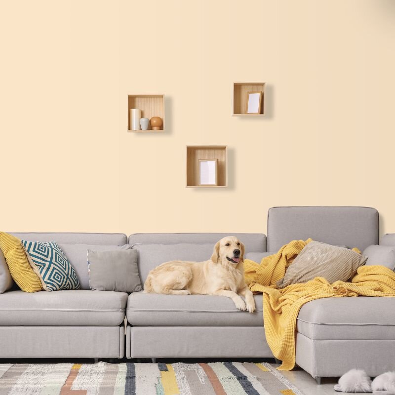 Wandfarbe Vanille Creme Ravenna 3A Wallcover Colors S 0510-Y40R