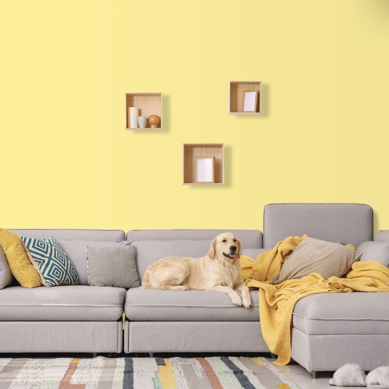 Wandfarbe Gelb Blassgelb Light Orange 1E Wallcover Colors S 0515-G90Y