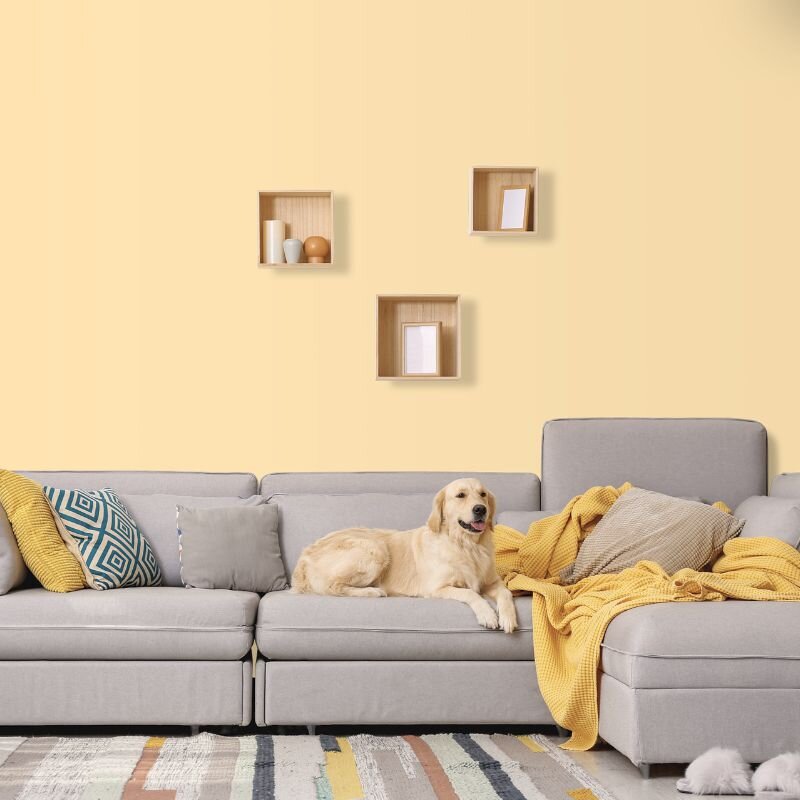 Wandfarbe Sand Beige Creme Kalahari 2A Wallcover Colors S 0520-Y30R