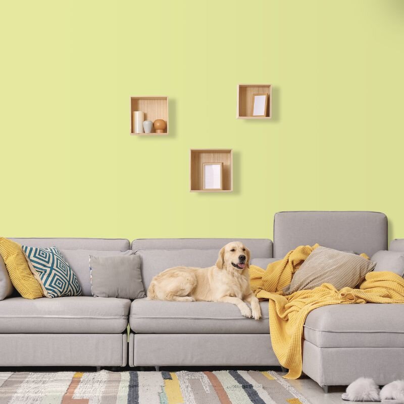 Wandfarbe Grüngelb Chartreuse Saguaro 2B Wallcover Colors S 0530-G60Y