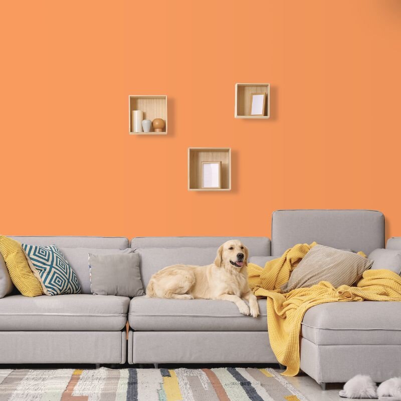 Wandfarbe Orange Bologna 1D Wallcover Colors S 0560-Y50R