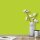 Wandfarbe Hellgrün Frühlingsgrün Donegal 1D Wallcover Colors S 0565-G50Y