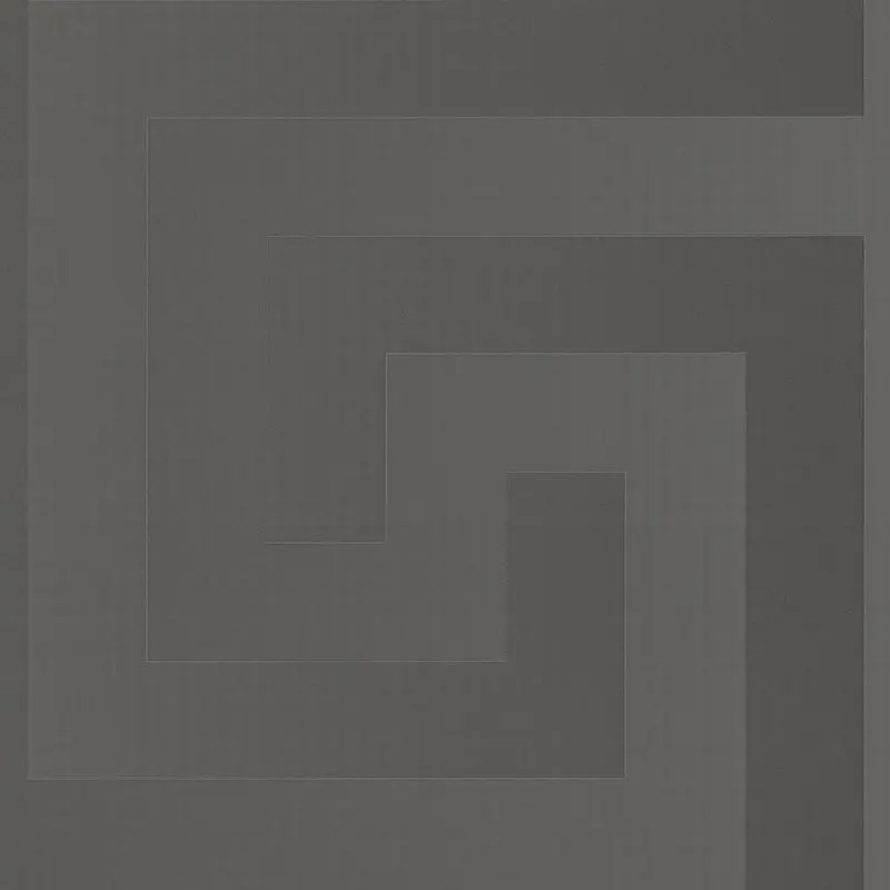 Tapete Grau, Silber VERSACE Satintapete (1040233)