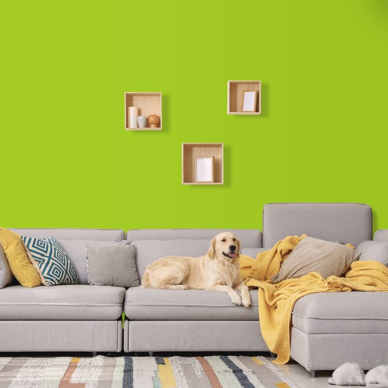 Wandfarbe Hellgrün Frühlingsgrün Donegal 1E Wallcover Colors S 0575-G40Y