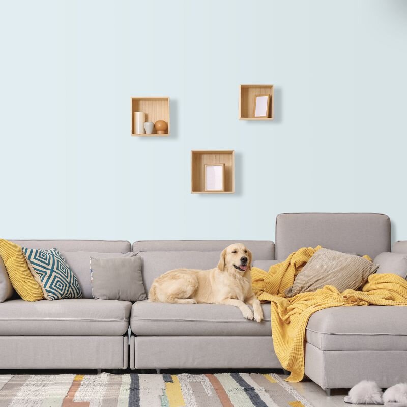 Wandfarbe Hellblau Weißblau Karibik 1A Wallcover Colors S 0804-B50G