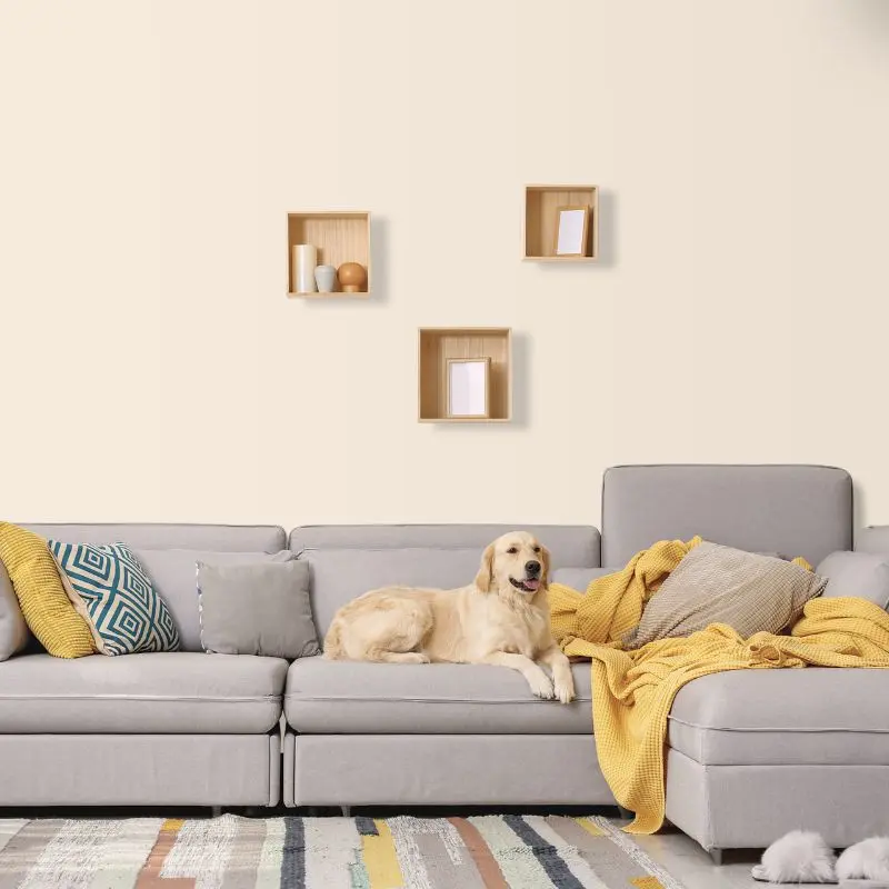 Wandfarbe Vanille Creme Bergamo 1A Wallcover Colors S 0804-Y50R