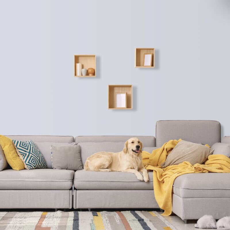 Wandfarbe Weißgrau Blassblau Atlantik 5A Wallcover Colors S 1010-R70B