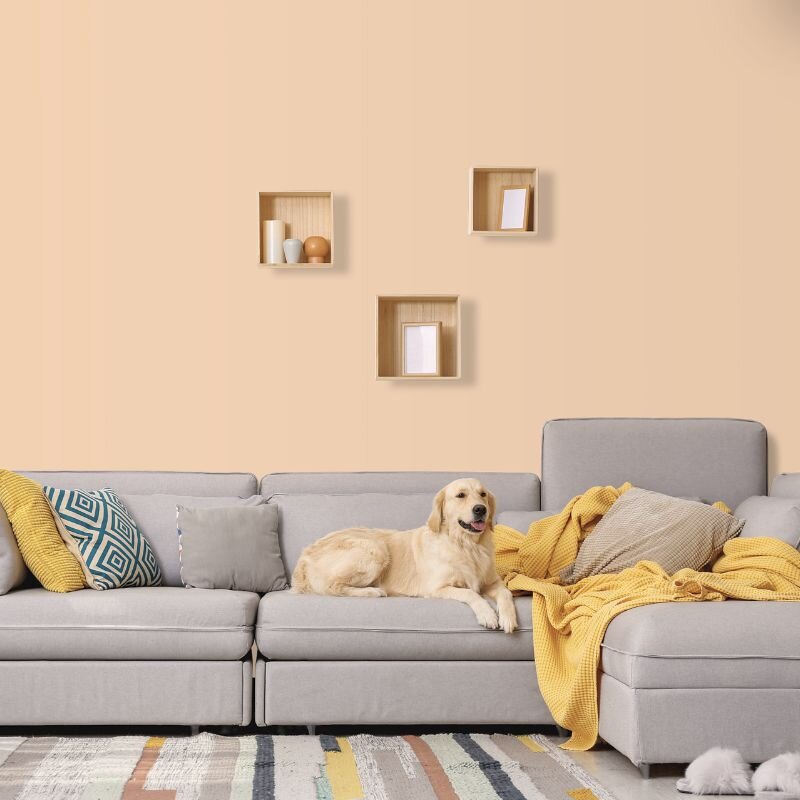 Wandfarbe Champagner Creme Siena 4A Wallcover Colors S 1015-Y40R