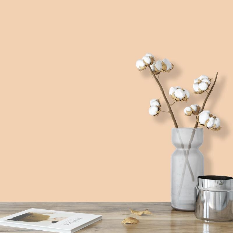 Wandfarbe Champagner Creme Siena 4A Wallcover Colors S 1015-Y40R