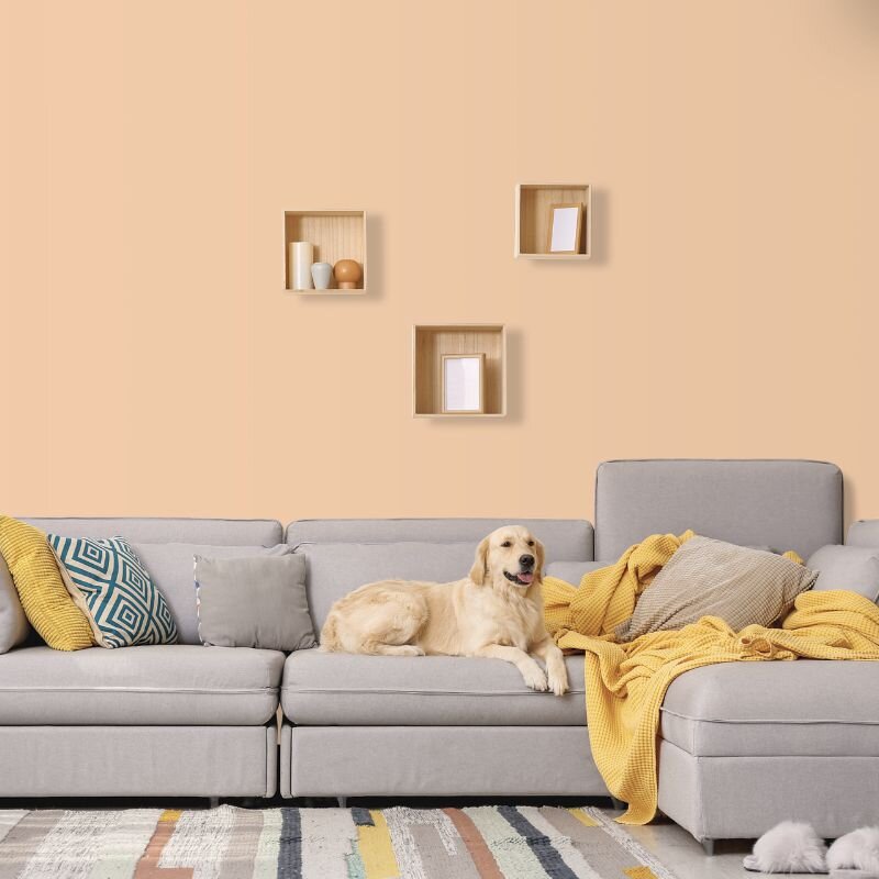 Wandfarbe Puder Blush Nude Light Orange 4E Wallcover Colors S 1020-Y50R