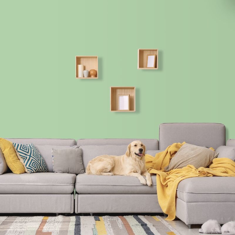 Wandfarbe Hellgrün Connemara 3C Wallcover Colors S 1030-G10Y