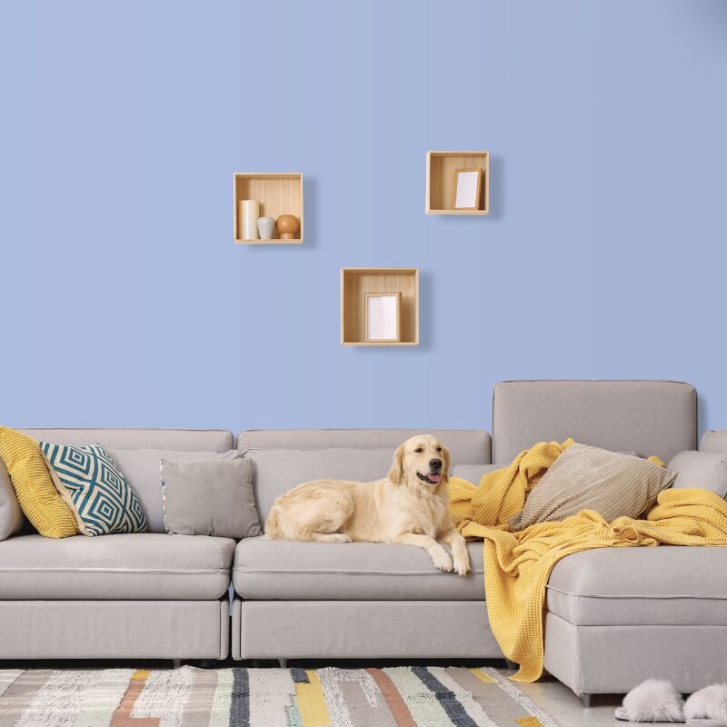 Wandfarbe Hellblau Himmelblau Marine 2B Wallcover Colors S 1030-R70B