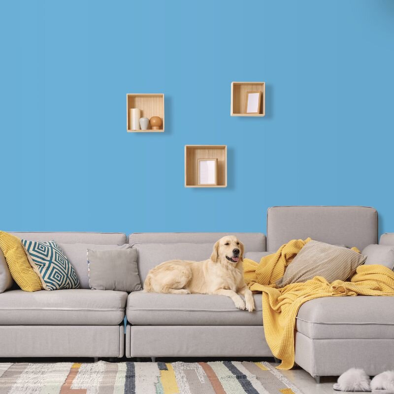 Wandfarbe Blau Karibik 2C Wallcover Colors S 1040-B