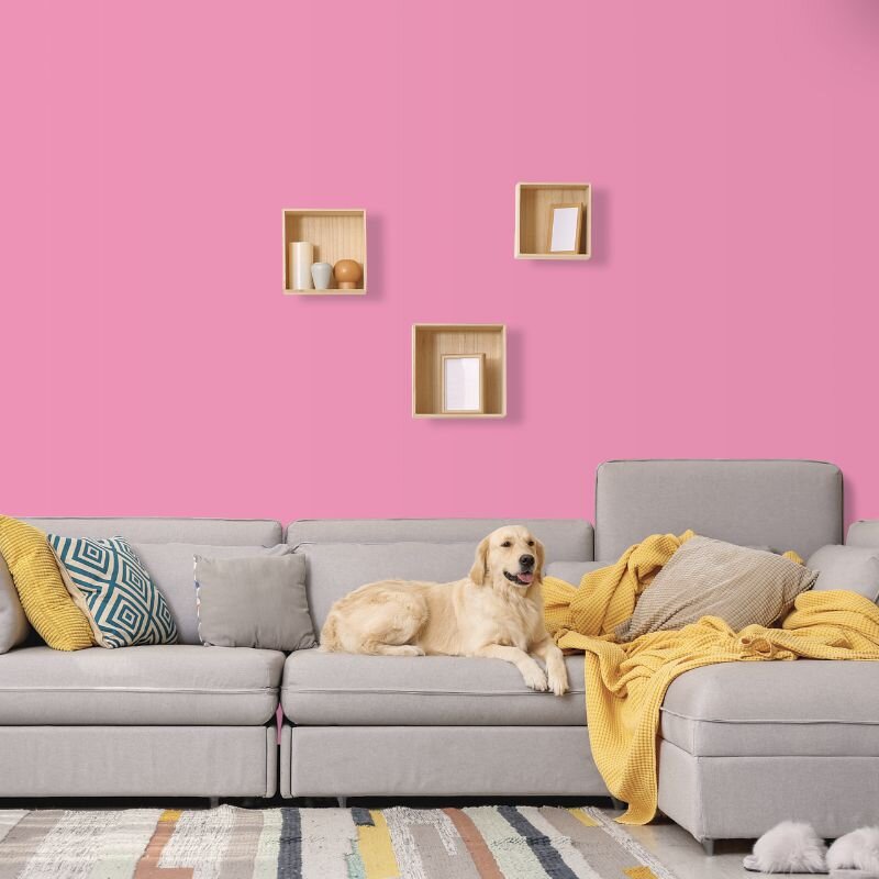 Wandfarbe Rosa Pink Portobello 1C Wallcover Colors S 1040-R20B