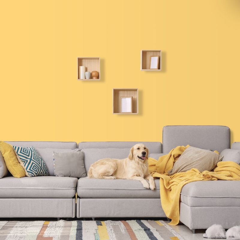 Wandfarbe Helles Orange Kalahari 2B Wallcover Colors S 1040-Y10R