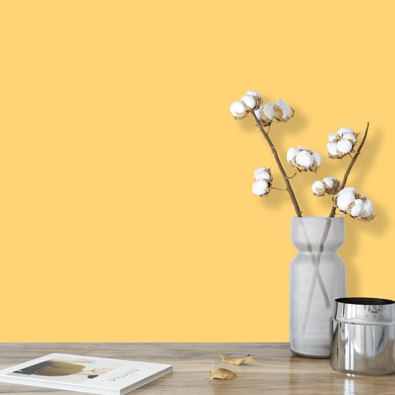 Wandfarbe Helles Orange Kalahari 2B Wallcover Colors S 1040-Y10R