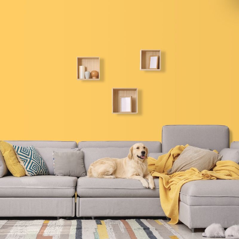 Wandfarbe Helles Orange Kalahari 3B Wallcover Colors S 1050-Y10R