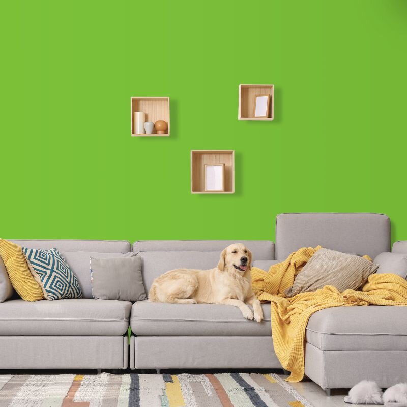 Wandfarbe Hellgrün Donegal 2E Wallcover Colors S 1070-G30Y