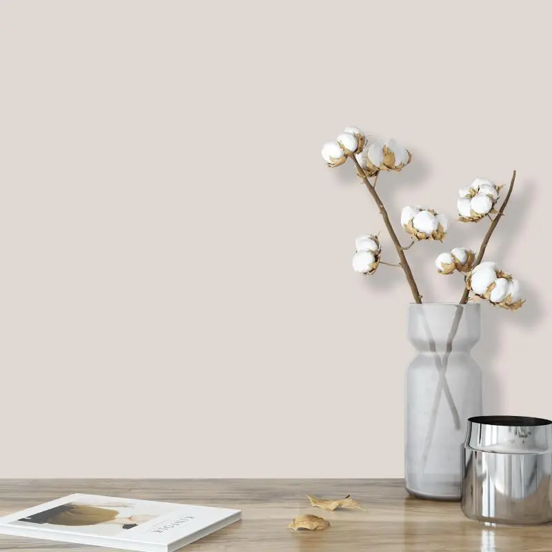 Wandfarbe Hellgrau Beige-Grau Moon 2A Wallcover Colors S 1502-Y20R