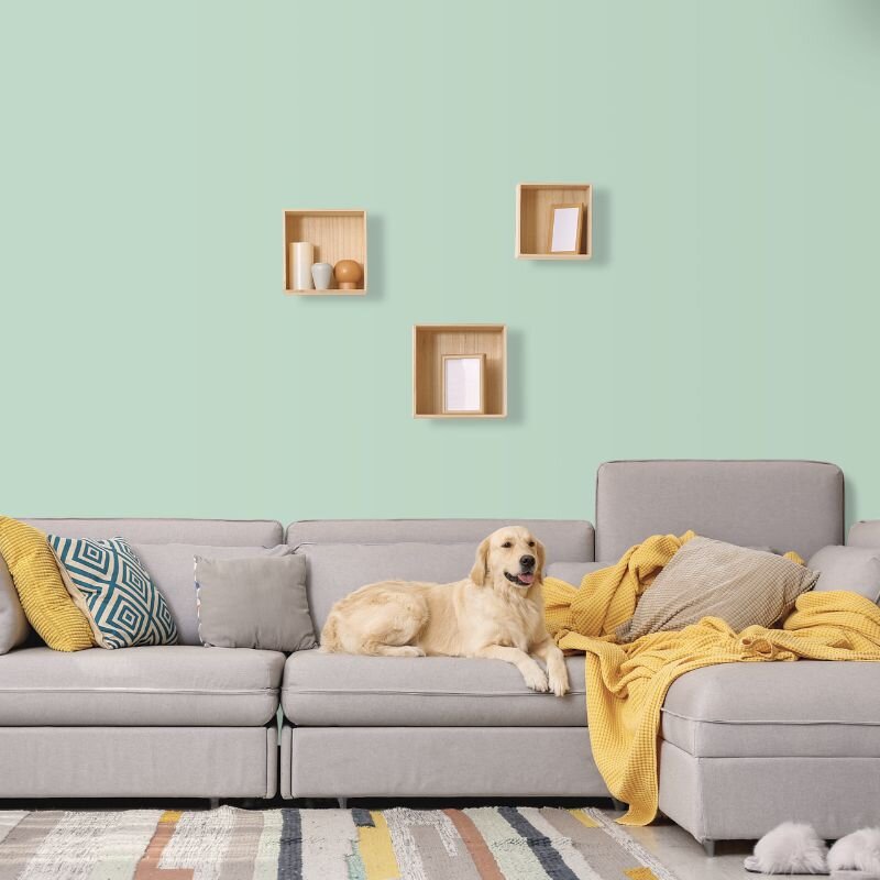 Wandfarbe Mintgrün St. Patrick 4B Wallcover Colors S 1510-G