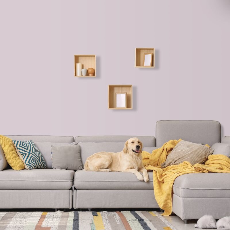 Wandfarbe Rosé Pastell English Rose 5B Wallcover Colors S 1510-R40B