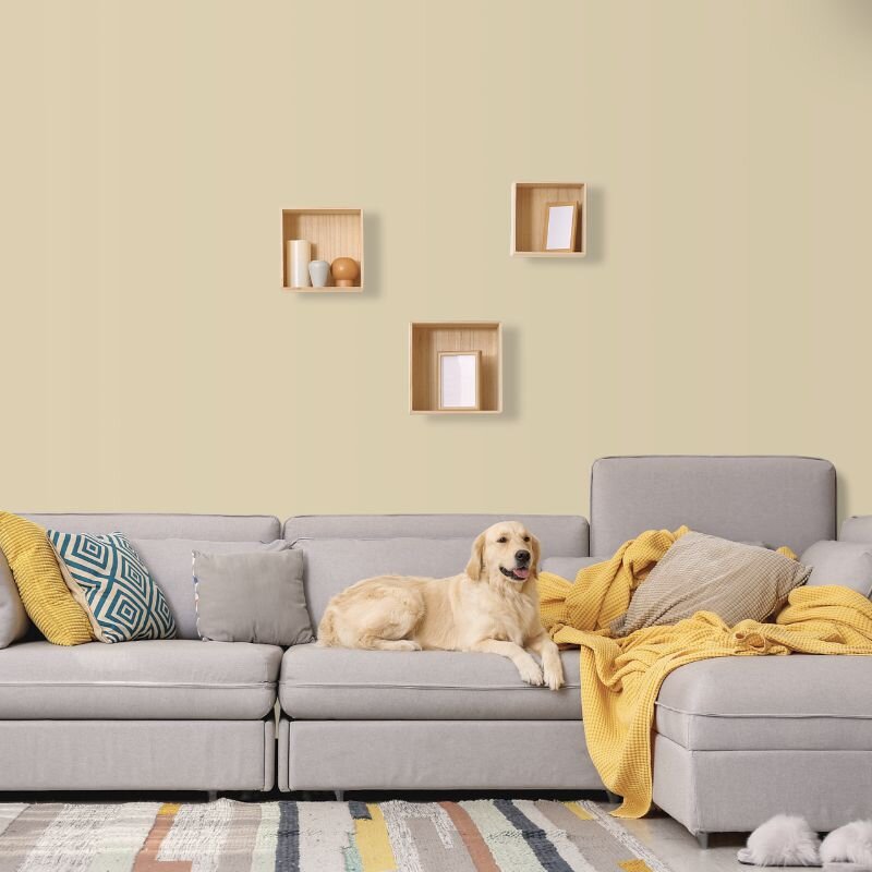 Wandfarbe Sand Grau-Beige Tanami 5B Wallcover Colors S 1510-Y20R