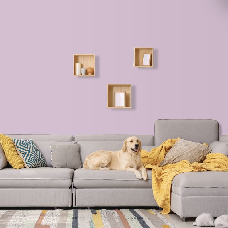 Wandfarbe Pastell Flieder Mauve Benguela 1B Wallcover Colors S 1515-R40B