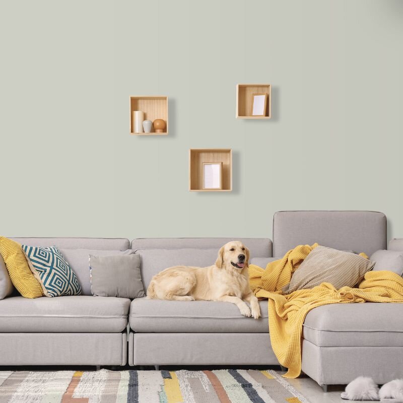 Wandfarbe Hellgrau Lichtgrau Moon 4B Wallcover Colors S 2002-Y