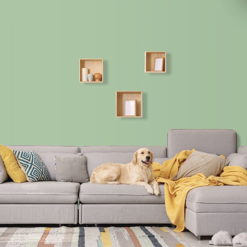 Wandfarbe Hellgrün Pastellgrün St. Patrick 4C Wallcover Colors S 2020-G20Y