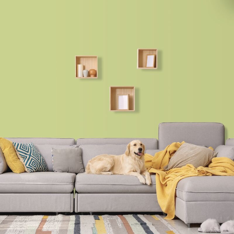 Wandfarbe Hellgrün Pastellgrün Kilkenny 4C Wallcover Colors S 2020-G80Y