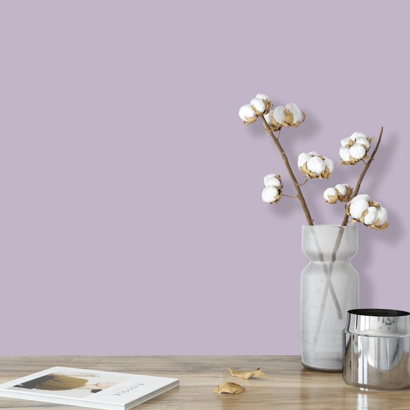 Wandfarbe Pastell Lavendel Flieder Benguela 5B Wallcover Colors S 2020-R50B