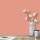 Wandfarbe Pfirsich Rosa Palermo 3C Wallcover Colors S 2030-Y70R