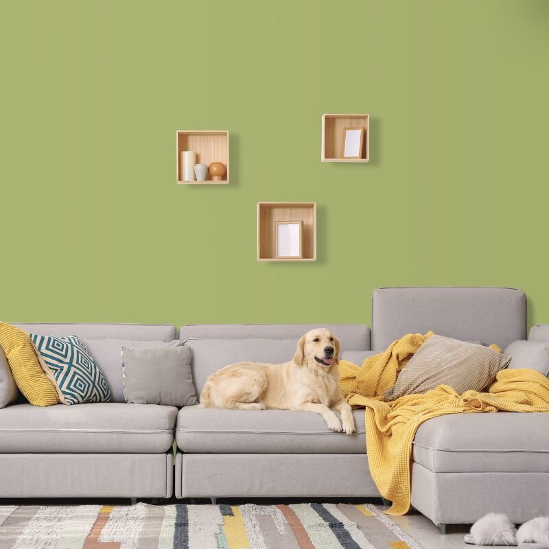 Wandfarbe Hellgrün Olivgrün Kilkenny 4E Wallcover Colors S 2040-G50Y