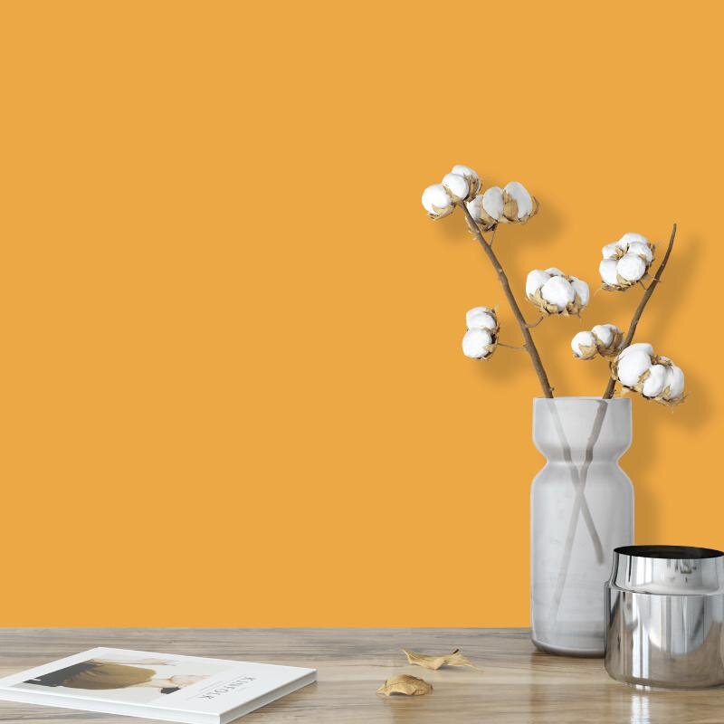Wandfarbe Dunkelorange Kalahari 3E Wallcover Colors S 2050-Y20R