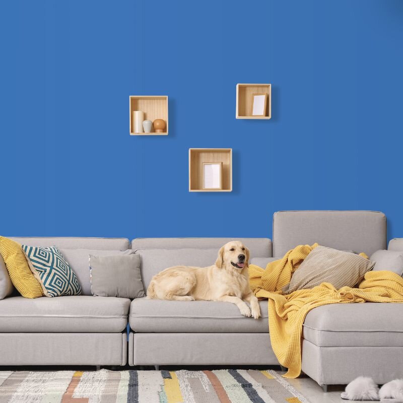 Wandfarbe Blau Meeresblau Marine 2E Wallcover Colors S 2060-R80B